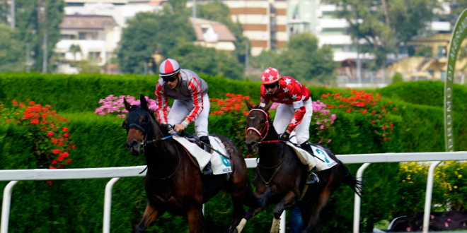SBC News SIS adds Italian racing to ‘wide ranging’ international bet offering