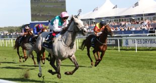 Vermantia and ARC launch global channel to shakeup Tote betting broadcasting