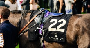 SBC News RAS and 1/ST build on ‘solid foundations’ of US race horses at Royal Ascot