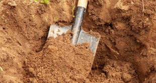 Rene Jansen: KSA to ‘dig a spade deeper’ on duty-of-care probe
