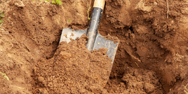 Rene Jansen: KSA to ‘dig a spade deeper’ on duty-of-care probe