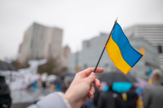 Ukraine Flag