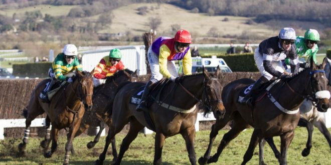SBC News Sky Betting & Gaming ramps up Cheltenham Festival coverage with SSG racing hub
