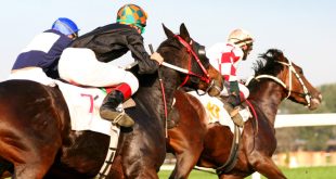 SBC News PA Betting Services continues to deliver horseracing content to Smarkets