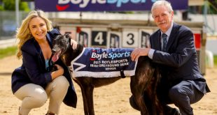 SBC News BoyleSports extends legacy sponsorship of Irish Greyhound Derby