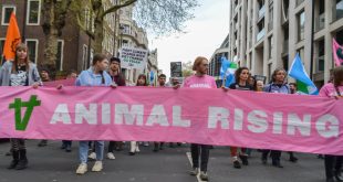 SBC News BHA ‘refuses to be coerced’ by Animal Rising following offer of debate