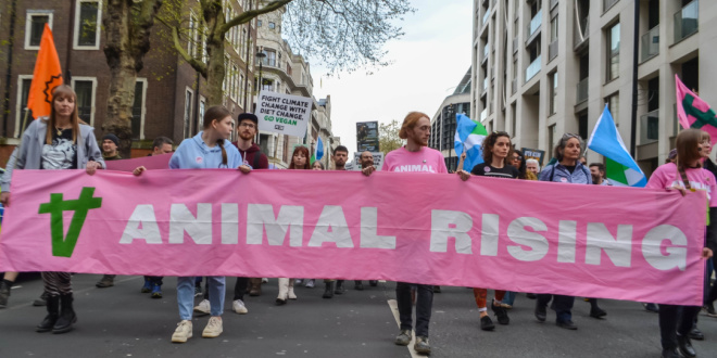 SBC News BHA ‘refuses to be coerced’ by Animal Rising following offer of debate