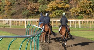 SBC News Unibet, Jockey Club and BHA enhance opportunities for ‘quality 10-year-old-plus chasers’