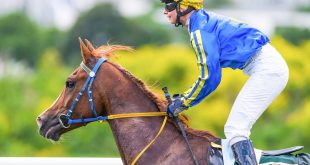 SBC News ATG wants horseracing out of Sweden’s proposed gambling tax hikes
