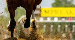 SBC News ProgressPlay adds UK & Irish horse-racing to content portfolio