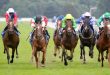 A photograph of racing horses