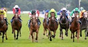 A photograph of racing horses