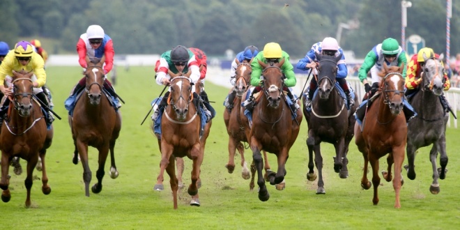 A photograph of racing horses