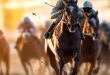 Horse racing as Amelco debuts newly upgraded end-to-end product.