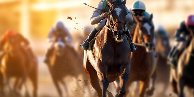 Horse racing as Amelco debuts newly upgraded end-to-end product.