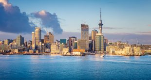 New Zealand Skyline as Delasport provides a market report