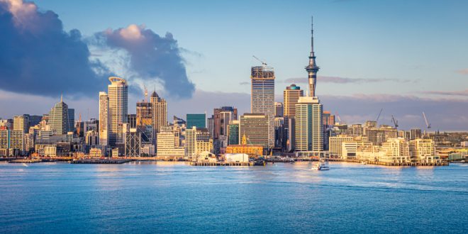 New Zealand Skyline as Delasport provides a market report