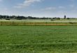 horse racing track