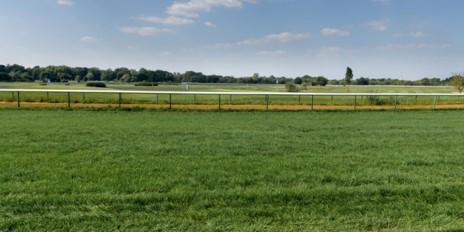 horse racing track