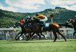Horse racing a critical component of Metric Gaming powered Betzone