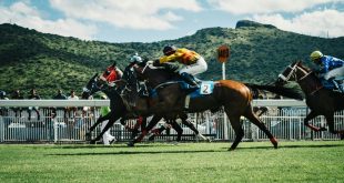 Horse racing a critical component of Metric Gaming powered Betzone