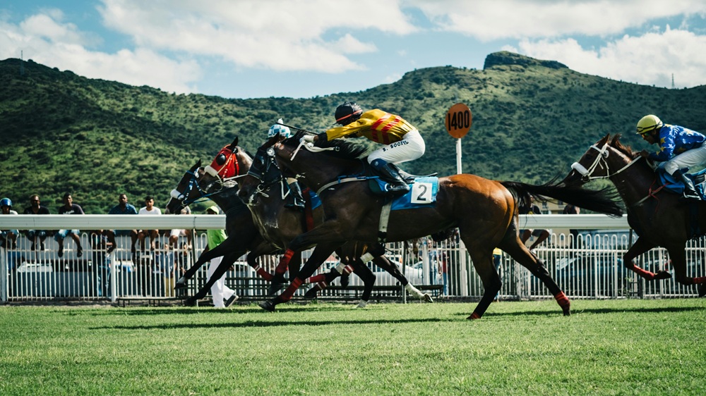 Horse racing a critical component of Metric Gaming powered Betzone