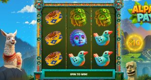 SBC News Alpaca Pays – PopOK Gaming