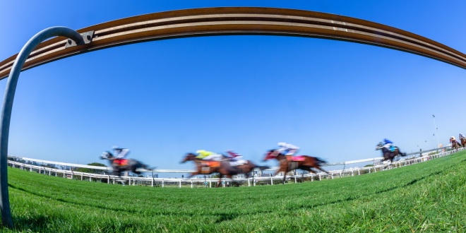 Horses racing on a track