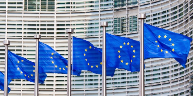 European Union flags