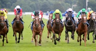 Jockeys racing