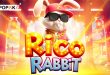 SBC News Rico Rabbit – PopOk Gaming