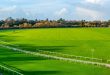 horseracing track