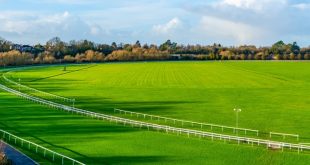 horseracing track
