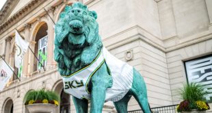 Chicago Sky lion