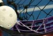 Small ball by net (floorball)