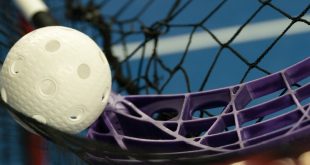 Small ball by net (floorball)