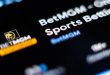 BetMGM's website