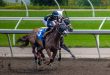horse racing photo as EveryMatrix talk about its new betting product