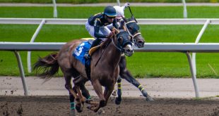 horse racing photo as EveryMatrix talk about its new betting product