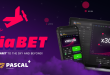 SBC News Pascal Gaming soars to new heights with Aviabet