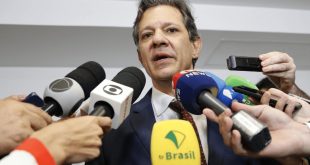 shutterstock_Haddad