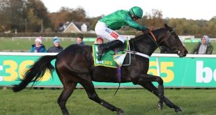 bet365 branding at Wetherby Racecourse, Yorkshire