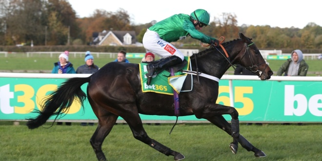 bet365 branding at Wetherby Racecourse, Yorkshire