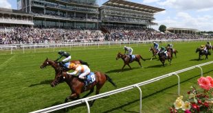 York racecourse