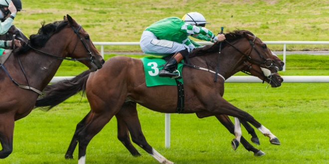 Horses racing