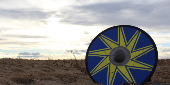 A Viking shield, symbolising Evolution's commitment to 'defend' its business