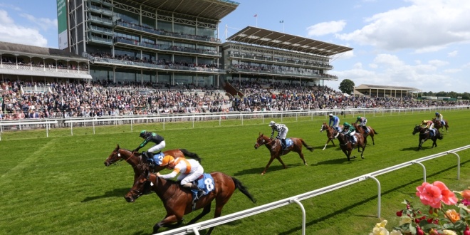 York Raecourse, where Flutter and the BHA's 'Future of Racing' summit will take place
