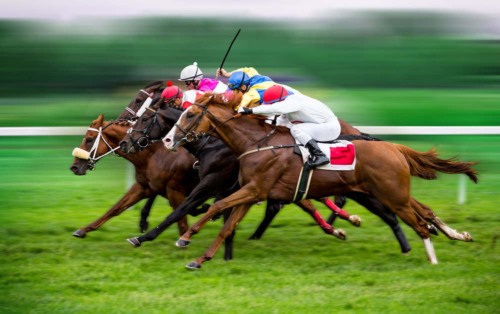 A concept of the competition faced by Racing and Sports.