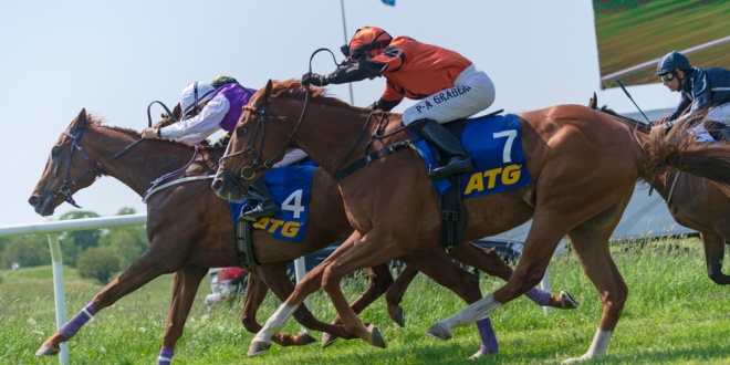 A horse race with ATG branding in Sweden
