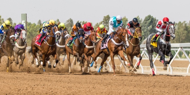 Horseracing, representing the weekend's Saudi Cup